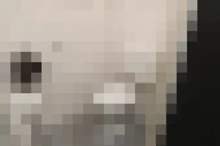 Asselierspad 6 Zoetermeer thumbnail 6
