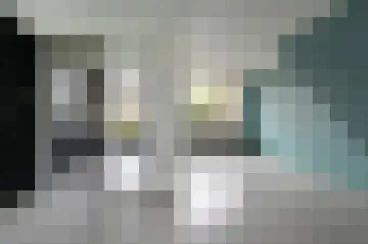Asselierspad 6 Zoetermeer thumbnail 8