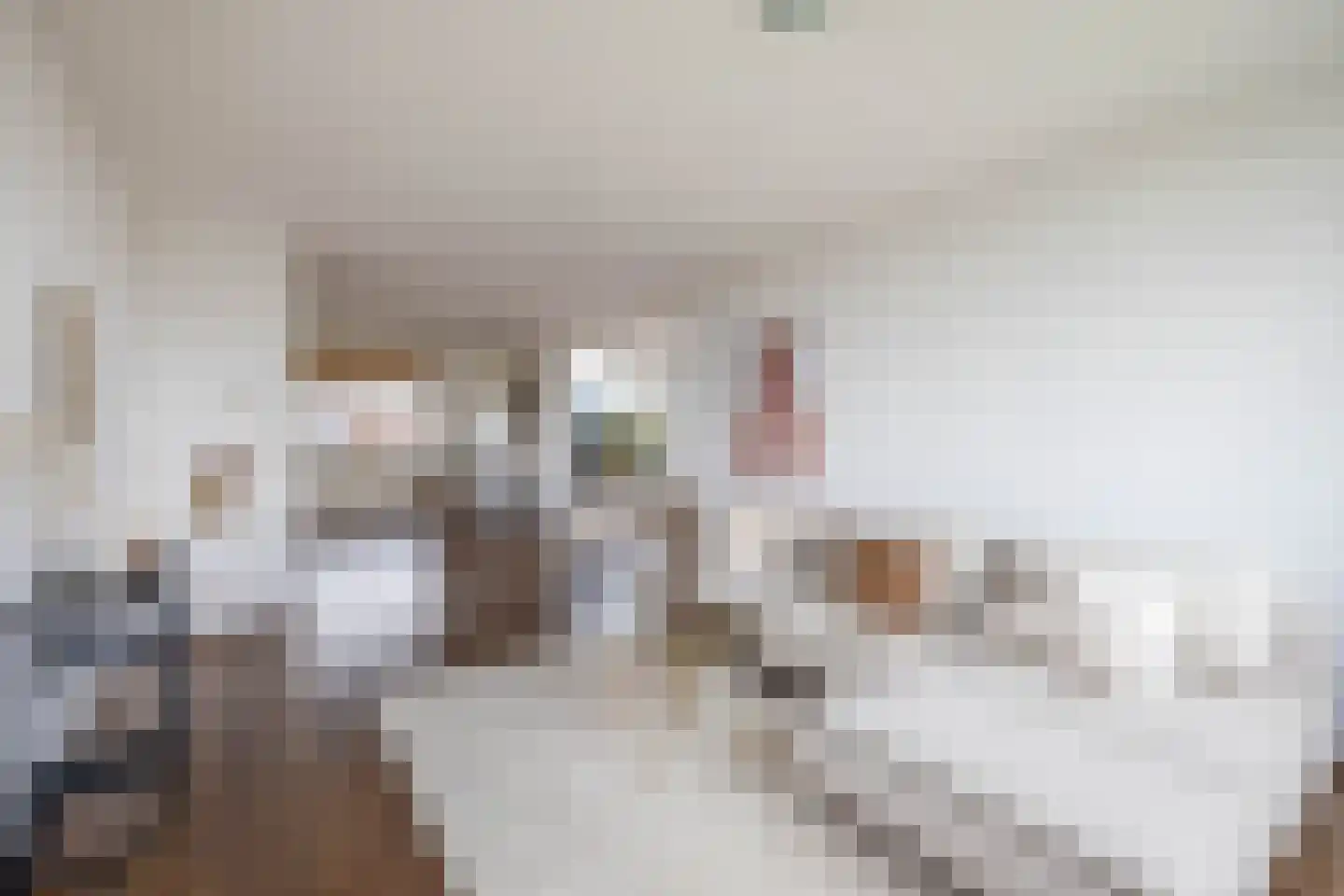 Asselijnhof 16 Bergschenhoek thumbnail 10