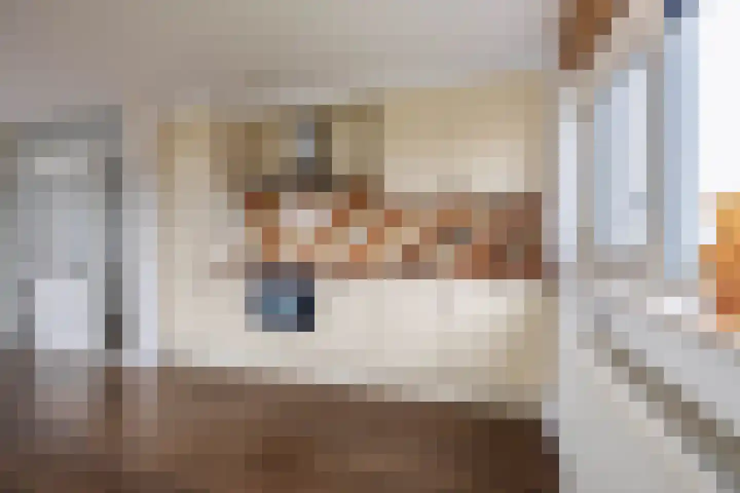 Asselijnhof 16 Bergschenhoek thumbnail 16