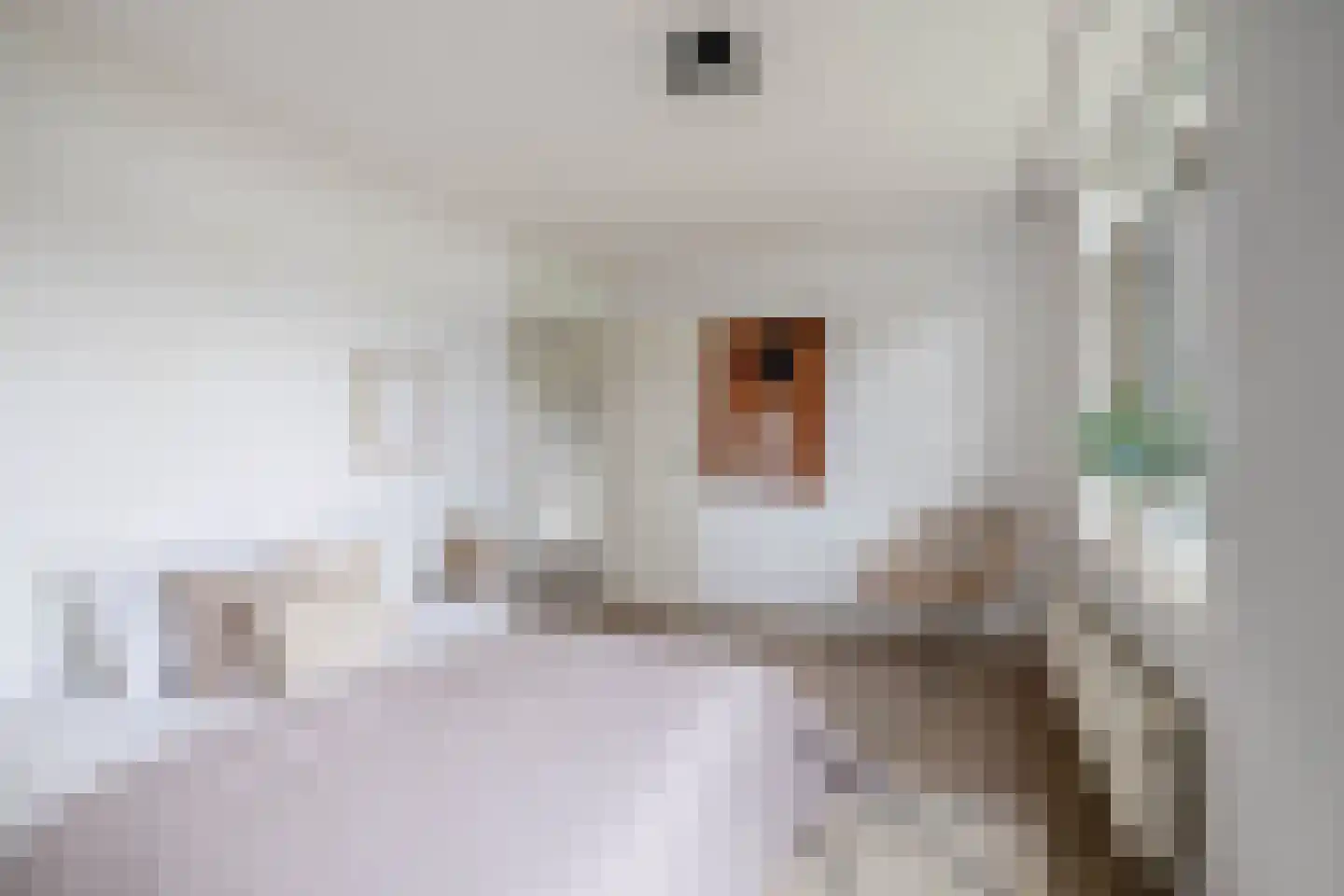 Asselijnhof 16 Bergschenhoek thumbnail 21