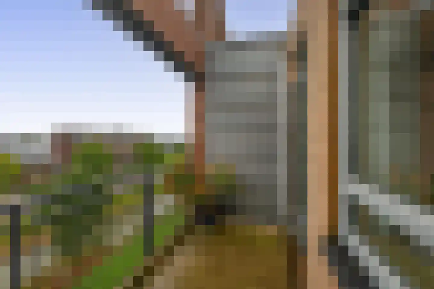 Asselijnhof 16 Bergschenhoek thumbnail 23