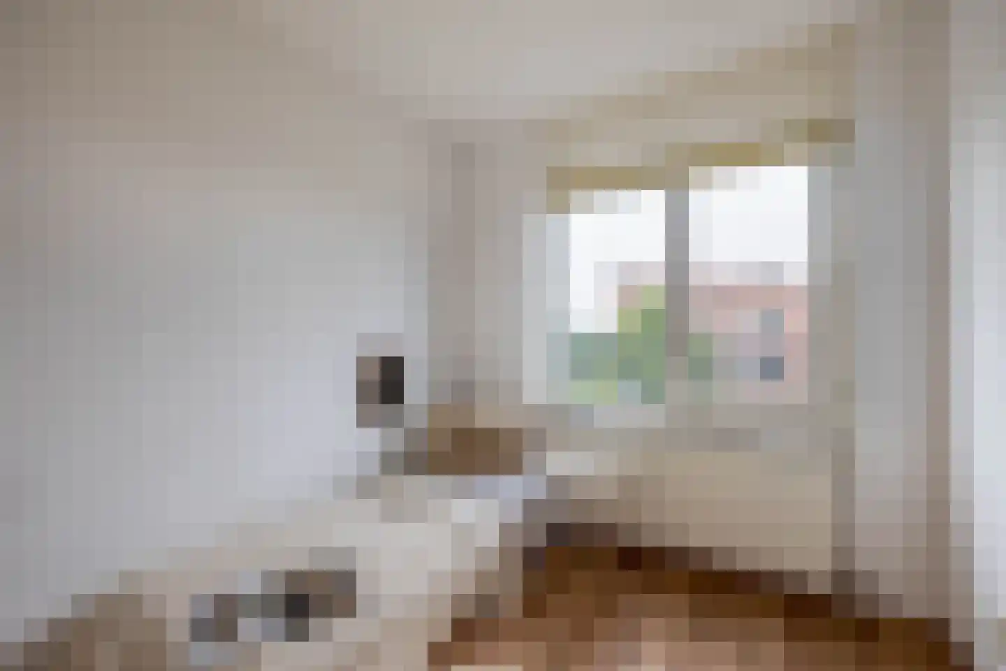 Asselijnhof 16 Bergschenhoek thumbnail 24