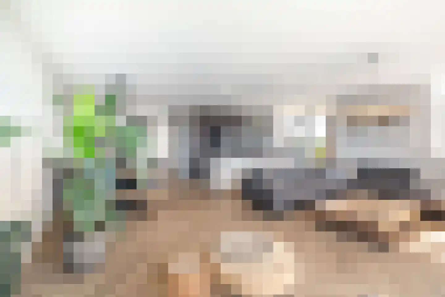 Asselijnhof 18 Bergschenhoek thumbnail 13
