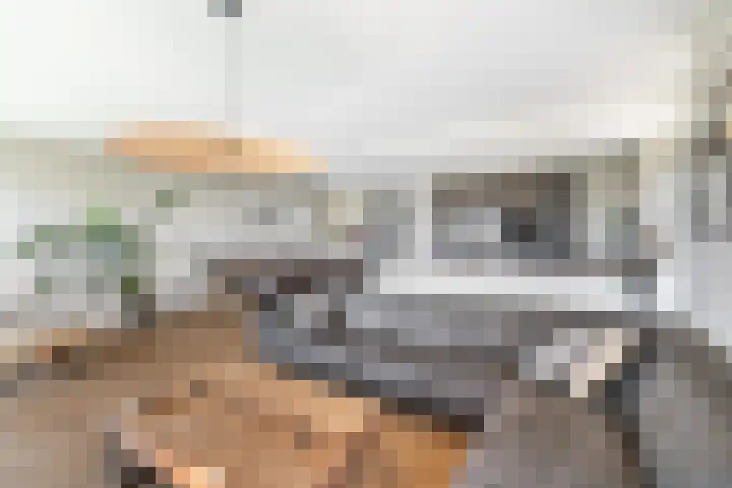Asselijnhof 18 Bergschenhoek thumbnail 14