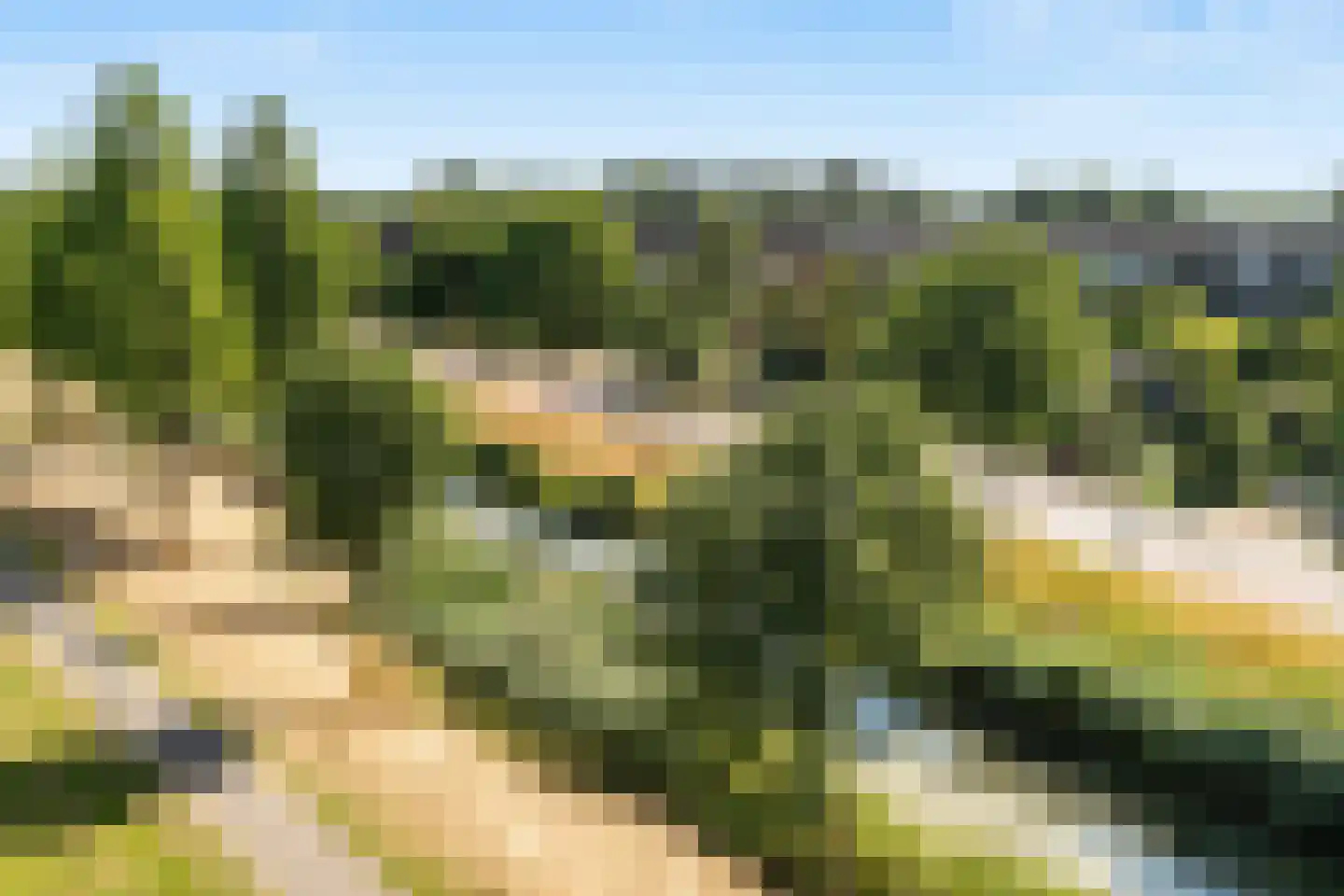 Asselijnhof 18 Bergschenhoek thumbnail 16