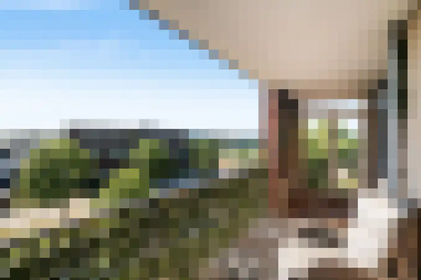 Asselijnhof 18 Bergschenhoek thumbnail 17