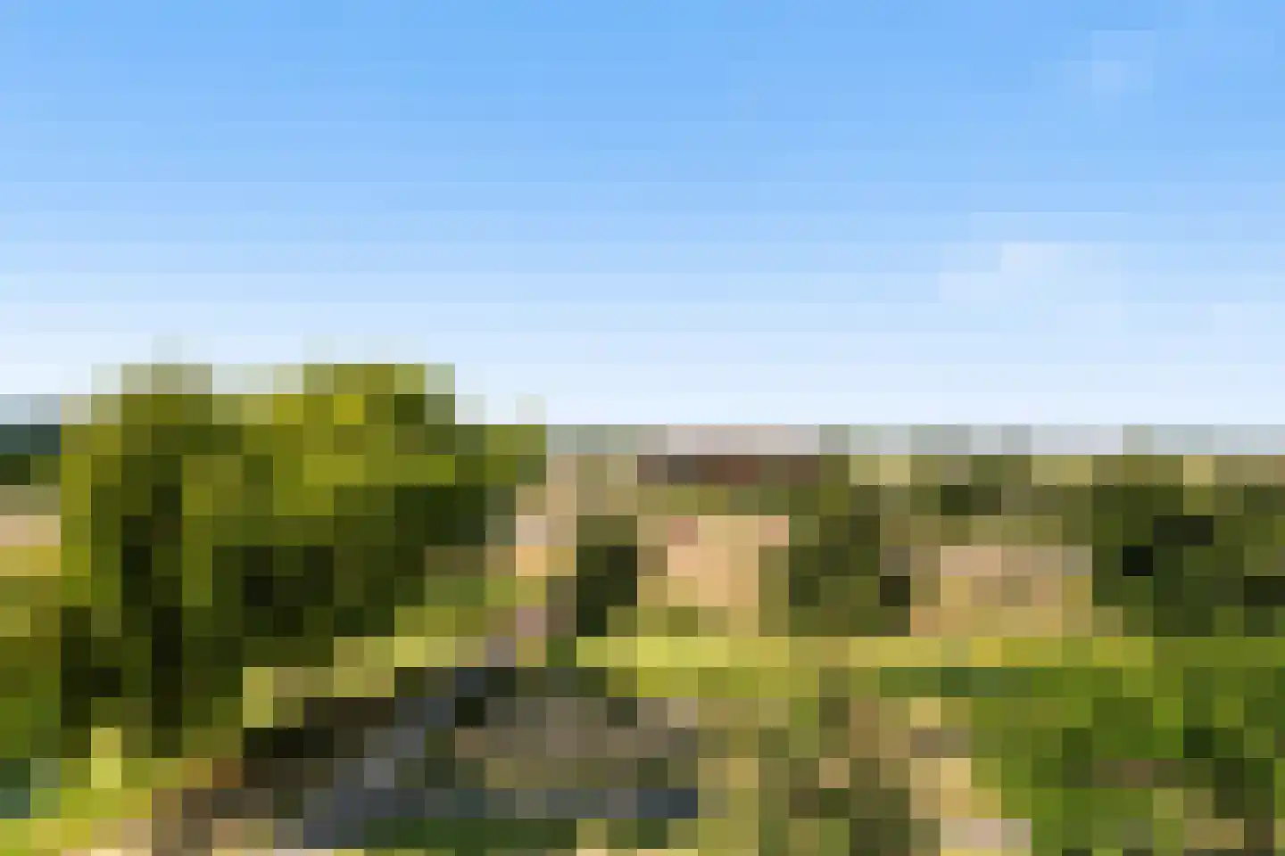Asselijnhof 18 Bergschenhoek thumbnail 18
