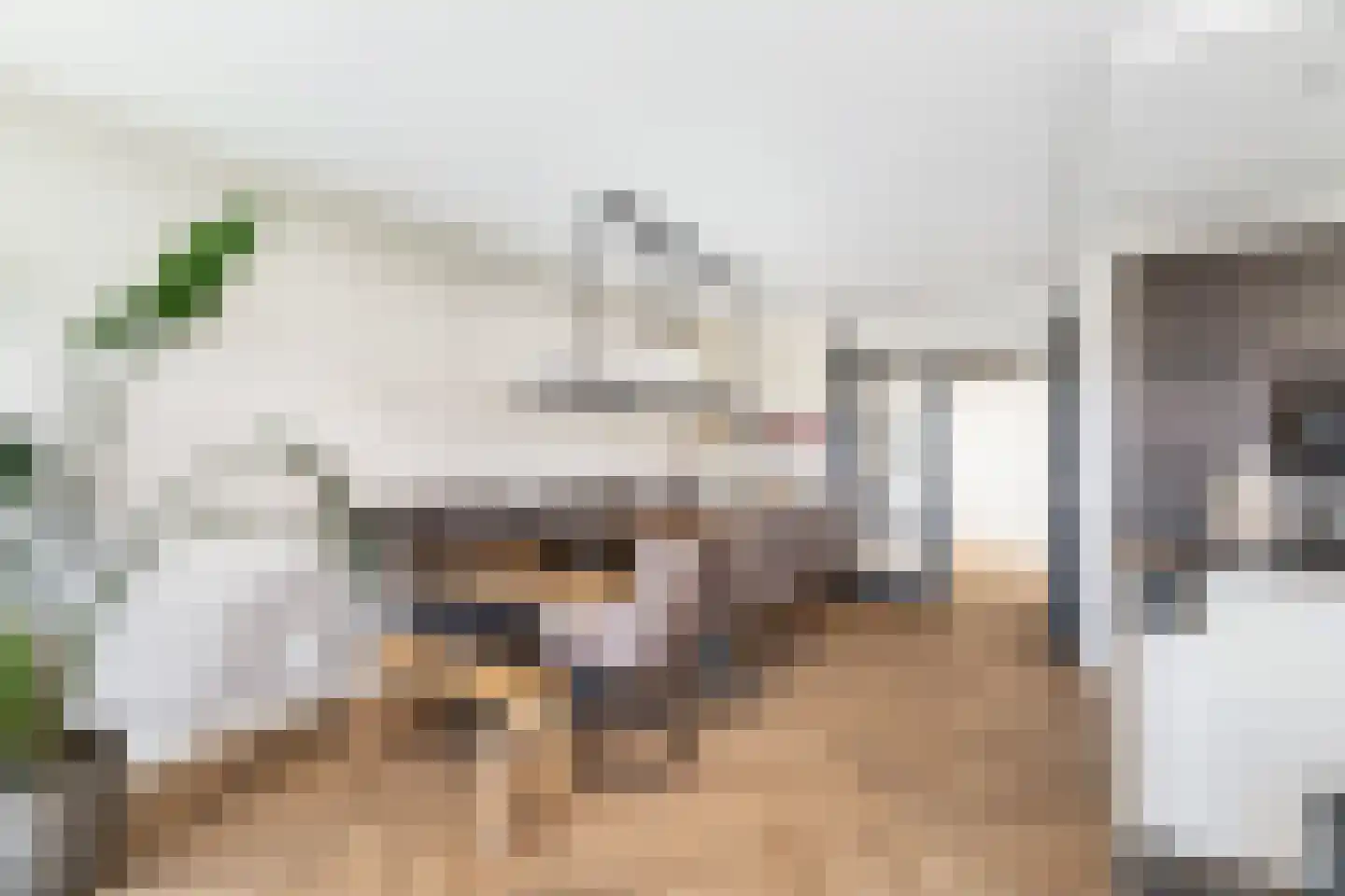 Asselijnhof 18 Bergschenhoek thumbnail 20