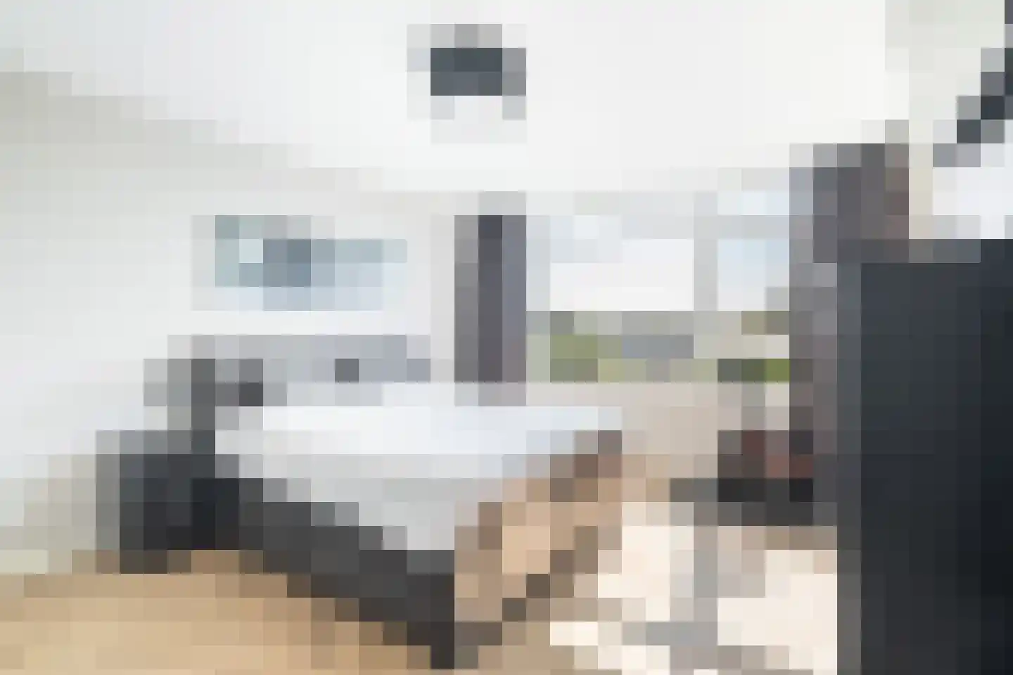 Asselijnhof 18 Bergschenhoek thumbnail 21