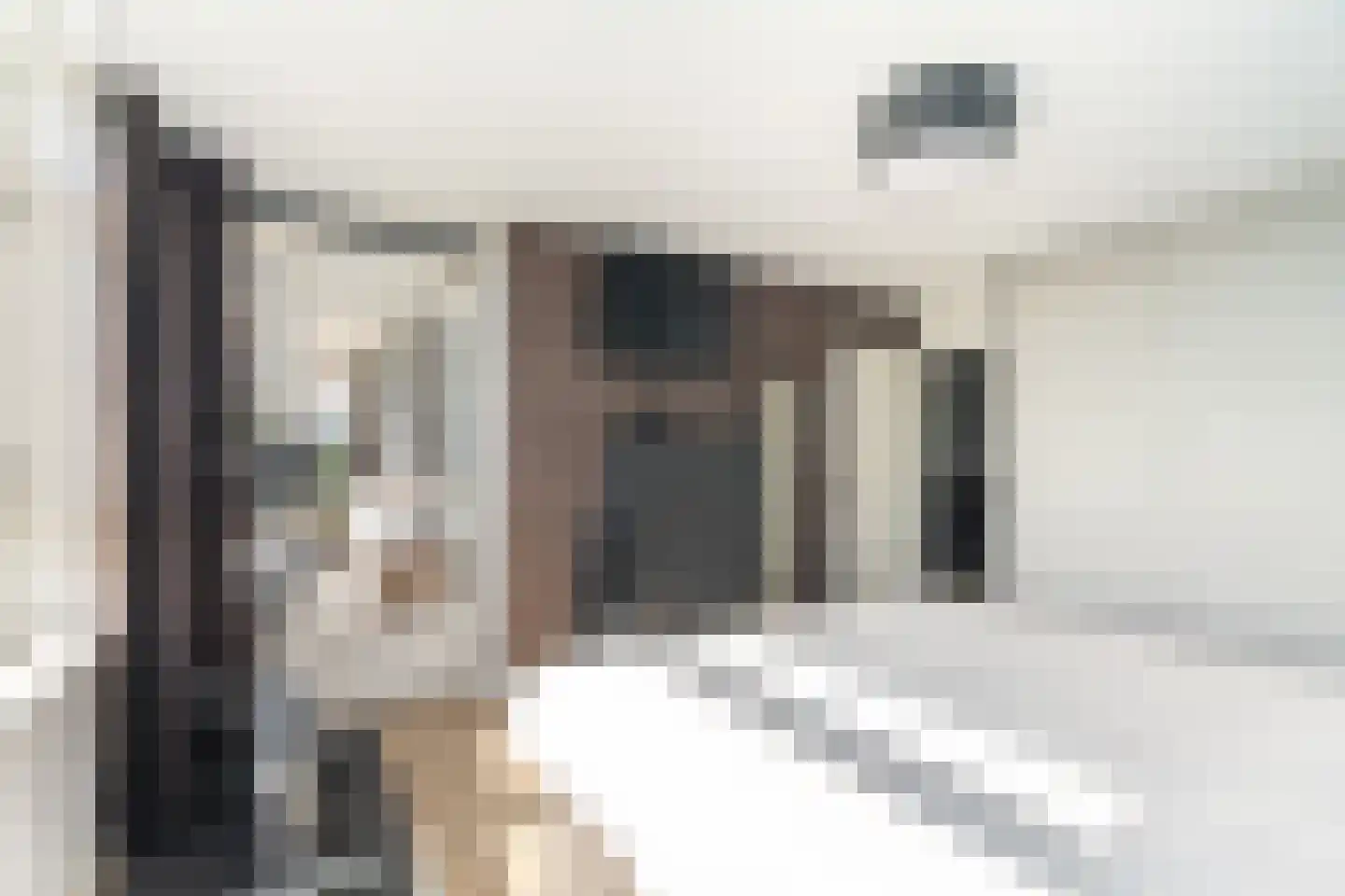 Asselijnhof 18 Bergschenhoek thumbnail 23