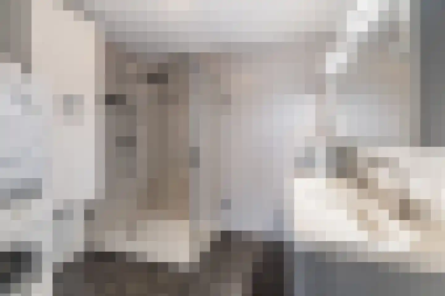 Asselijnhof 18 Bergschenhoek thumbnail 24