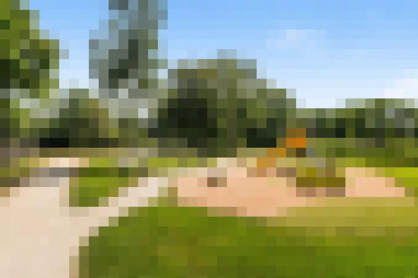 Asselijnhof 18 Bergschenhoek thumbnail 31