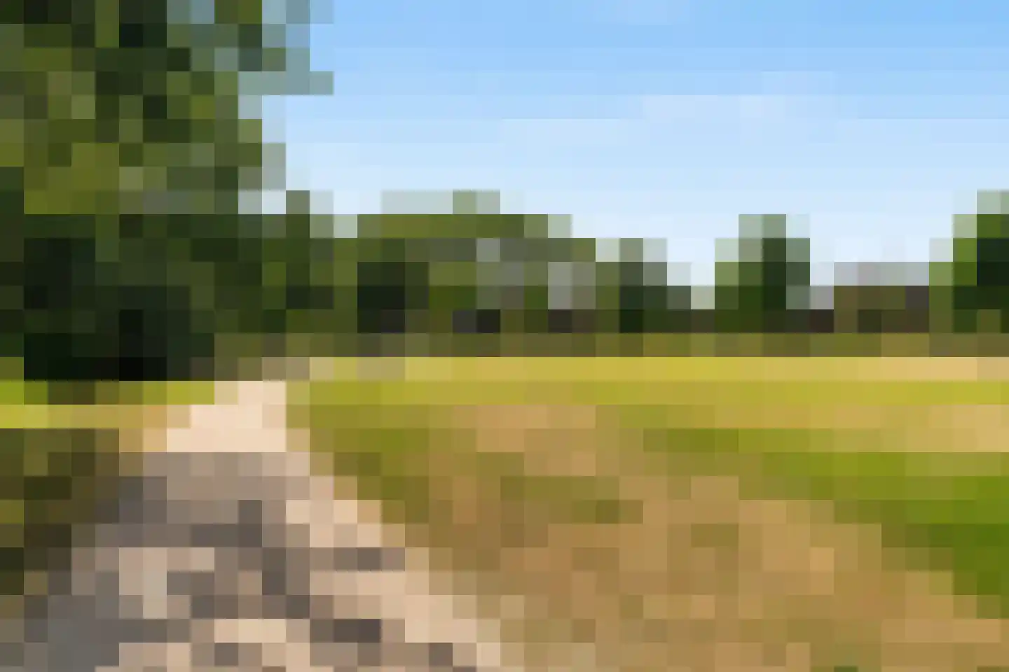Asselijnhof 18 Bergschenhoek thumbnail 32