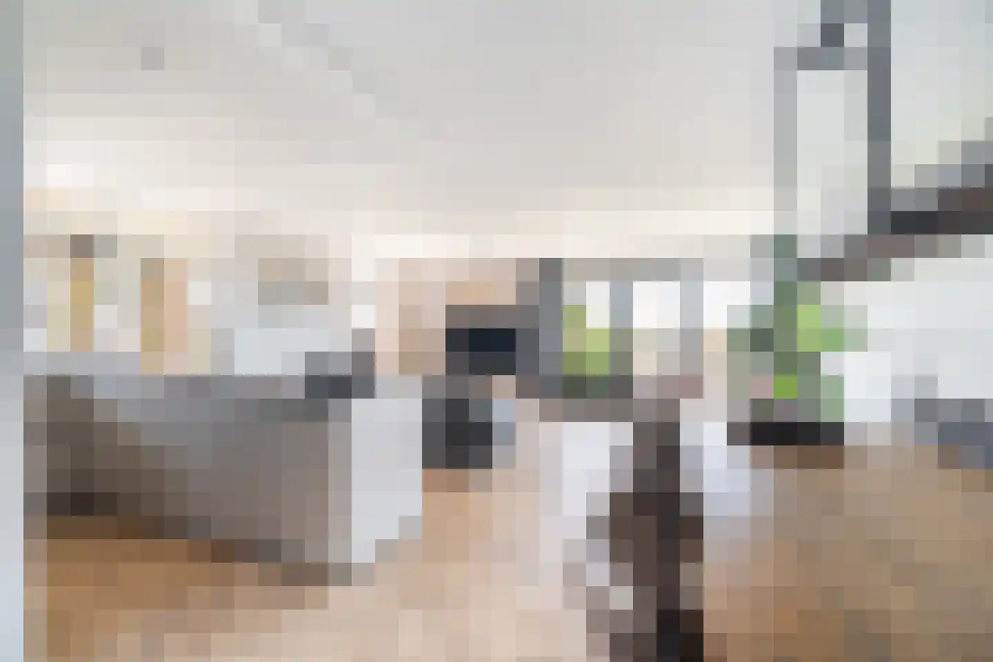 Asselijnhof 18 Bergschenhoek thumbnail 7