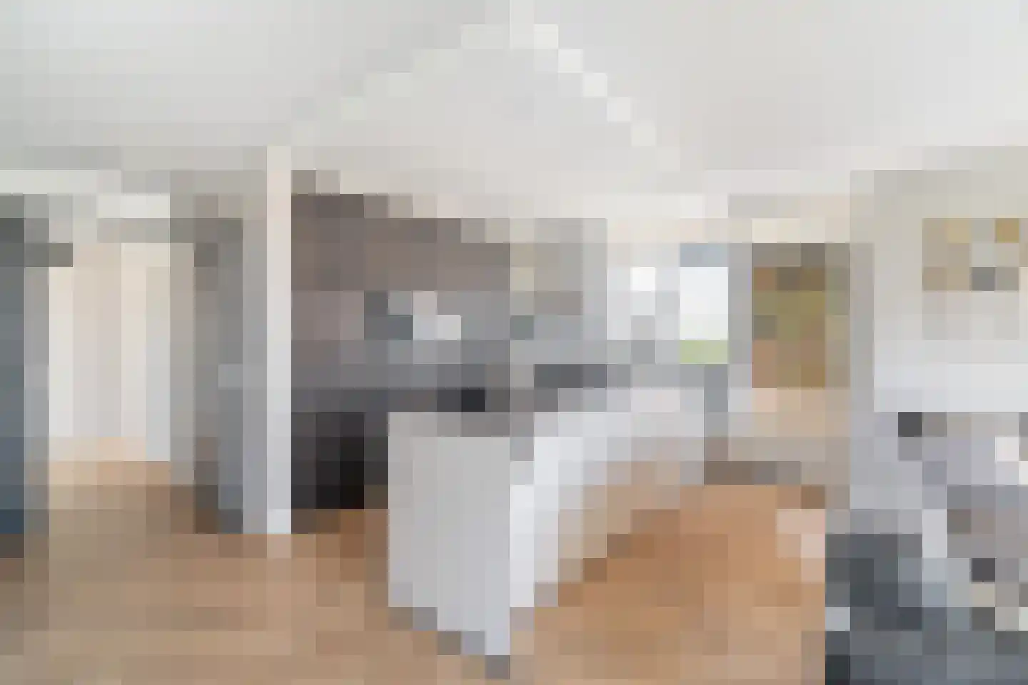Asselijnhof 18 Bergschenhoek thumbnail 8