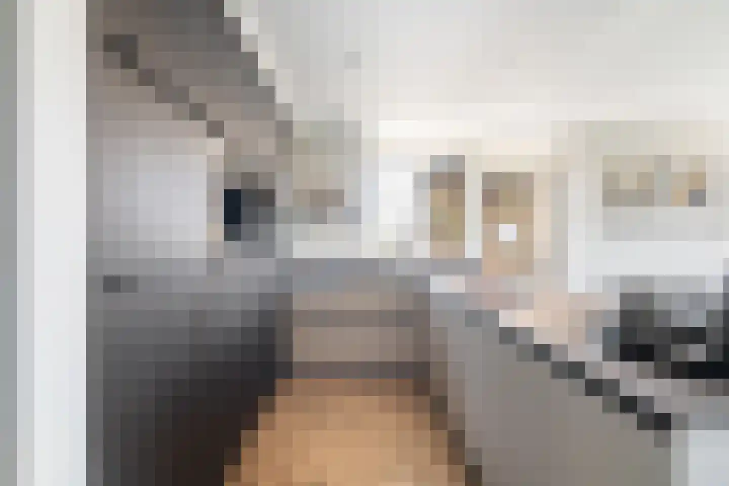 Asselijnhof 18 Bergschenhoek thumbnail 9