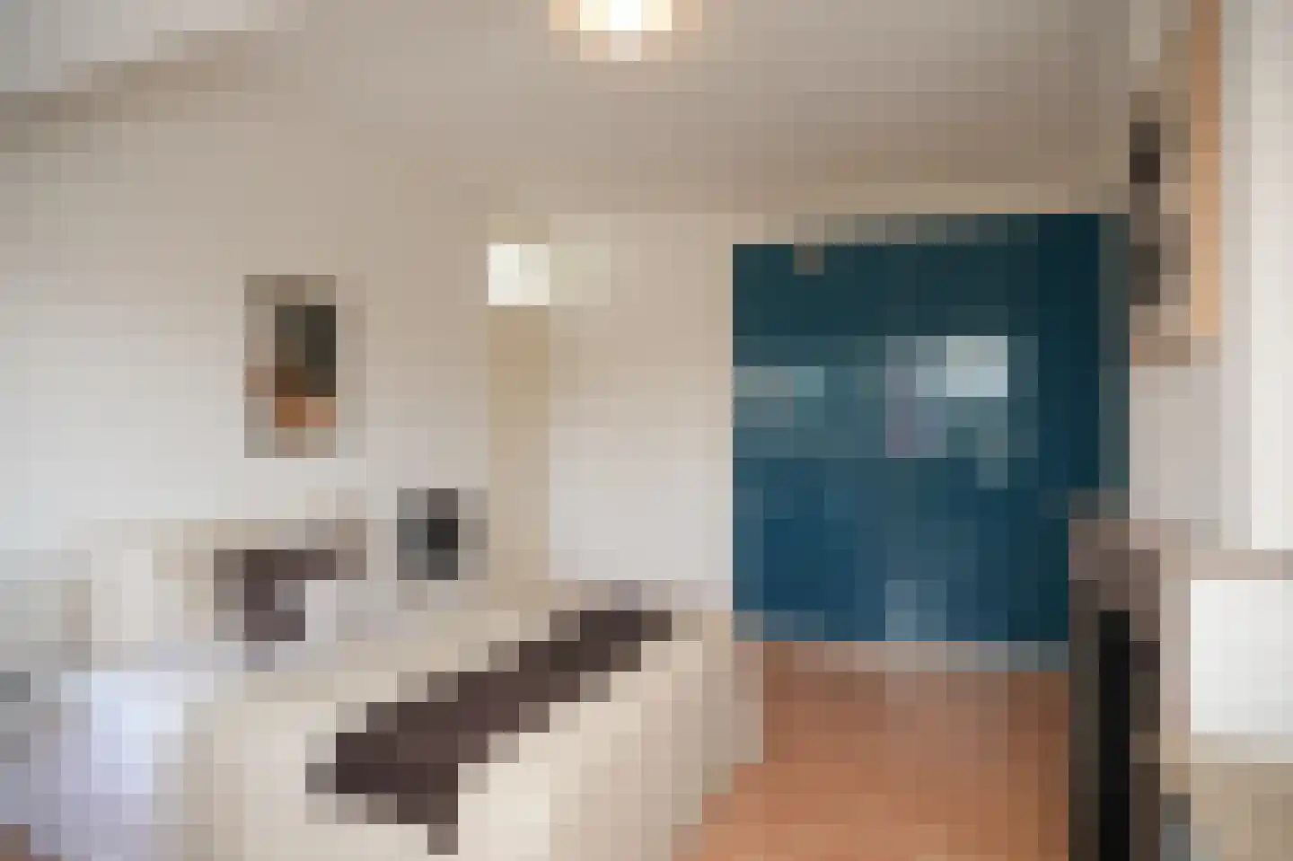 Asselijnstraat 1 BSA Utrecht thumbnail 22