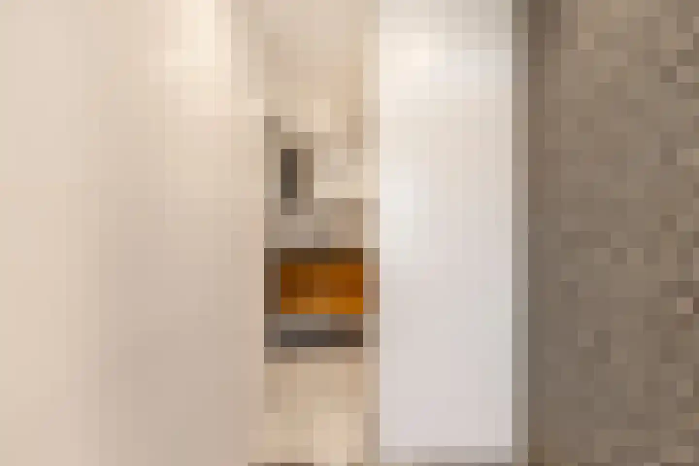 Asselijnstraat 18 Alkmaar thumbnail 15