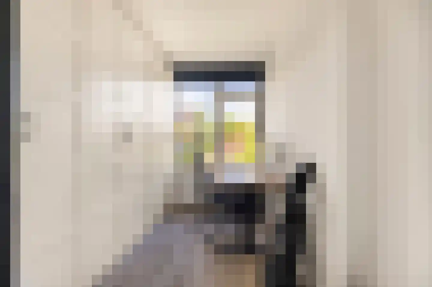 Asselijnstraat 18 Alkmaar thumbnail 19