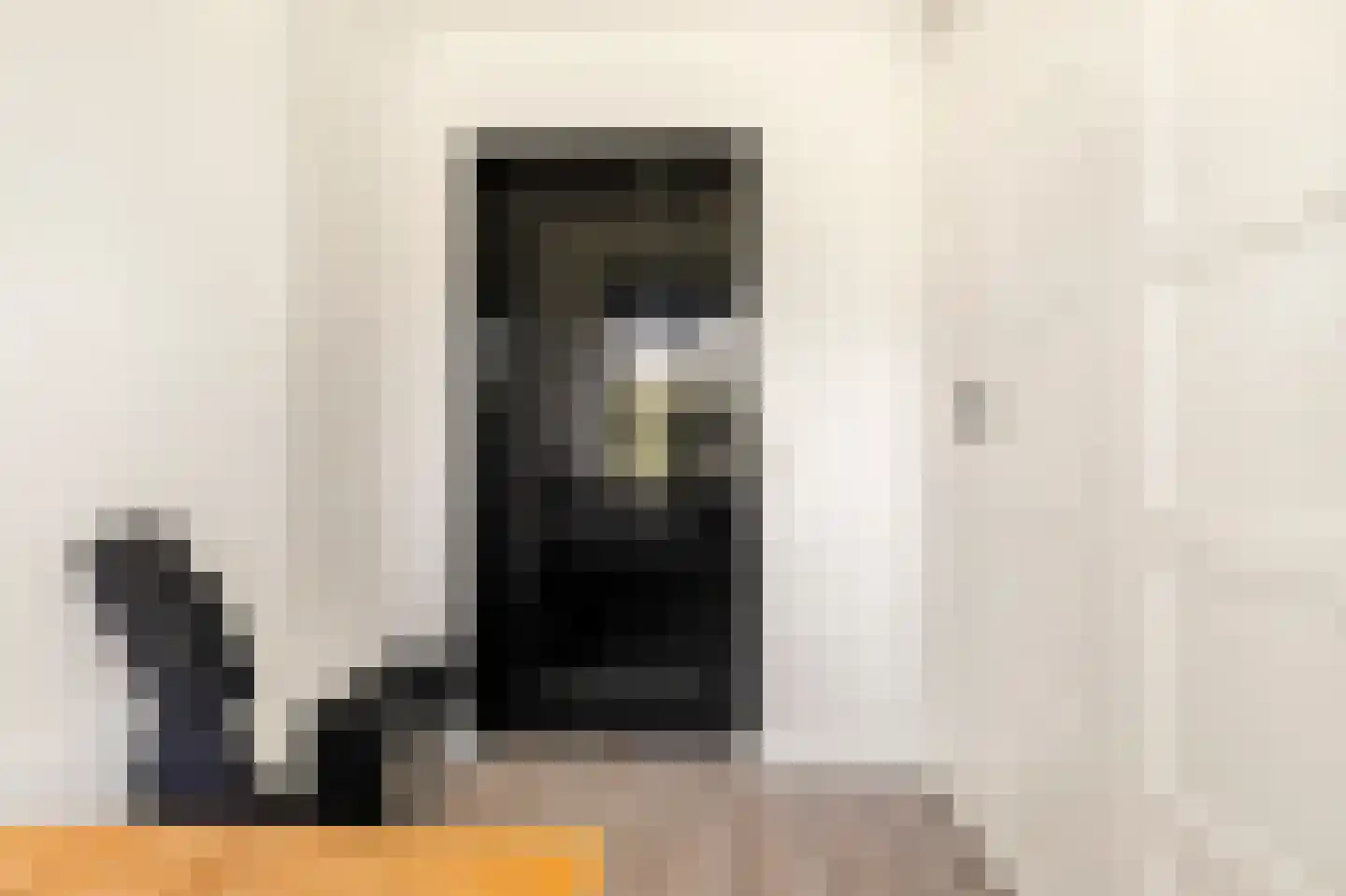 Asselijnstraat 18 Alkmaar thumbnail 20