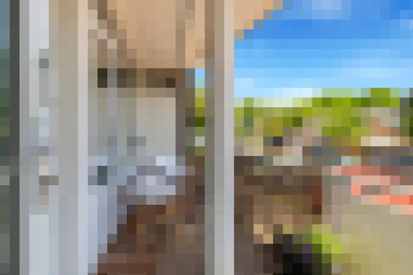 Asselijnstraat 18 Alkmaar thumbnail 5