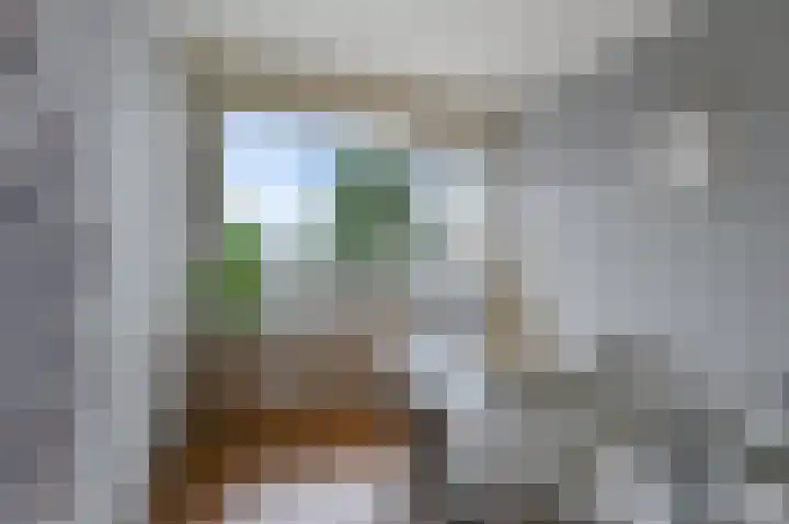 Asselijnstraat 22 Alkmaar thumbnail 4