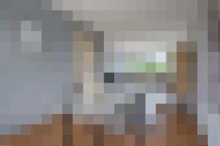 Asselijnstraat 22 Alkmaar thumbnail 5