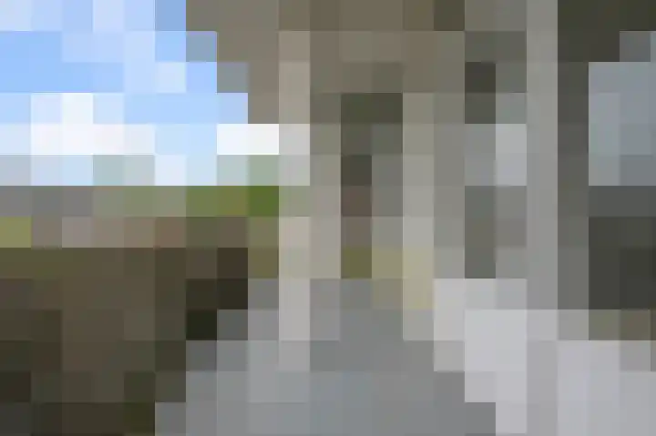 Asselijnstraat 22 Alkmaar thumbnail 9