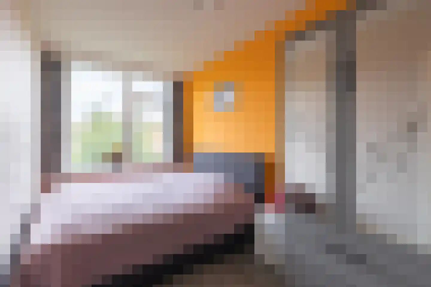 Asselijnstraat 36 Alkmaar thumbnail 24