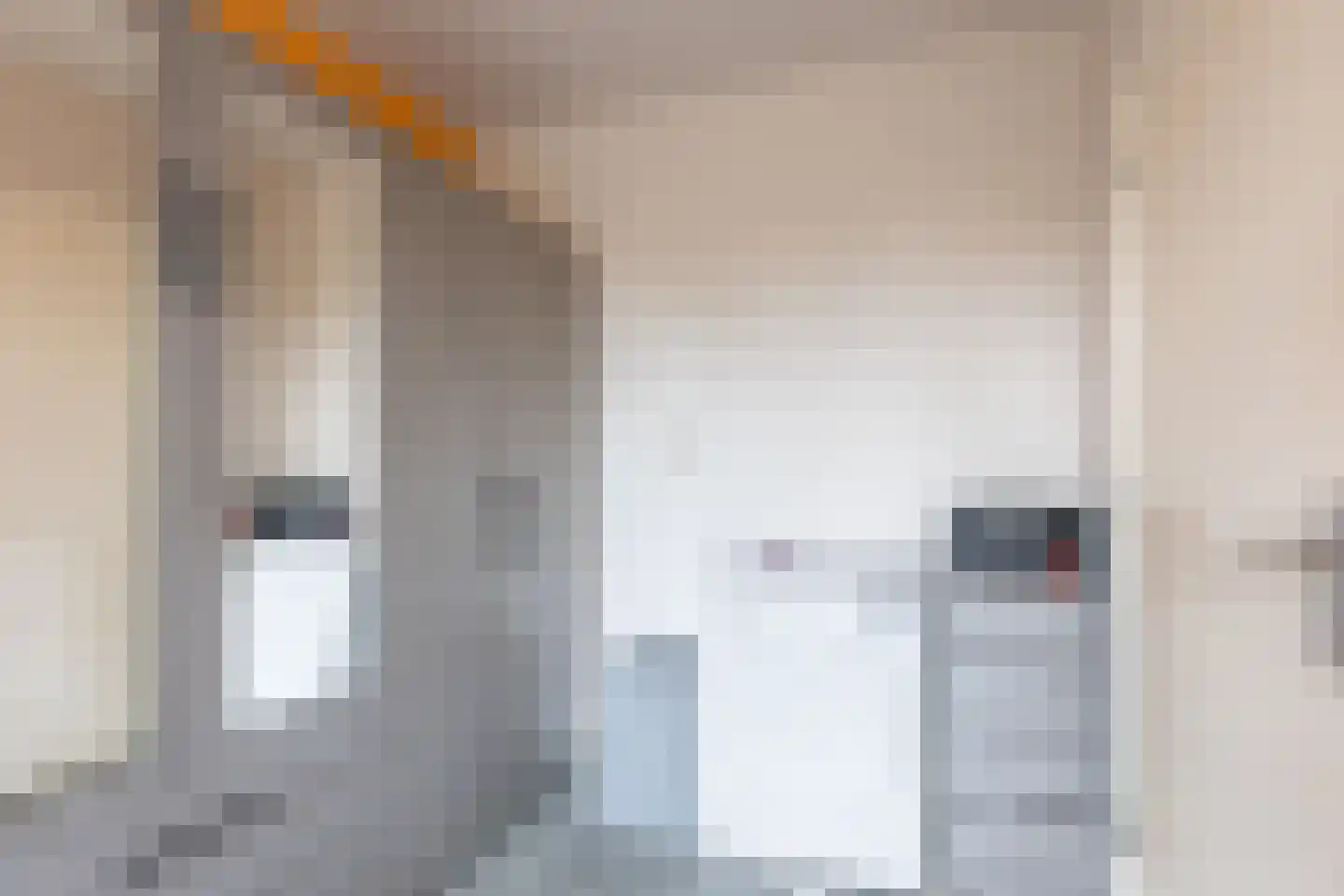 Asselijnstraat 36 Alkmaar thumbnail 26