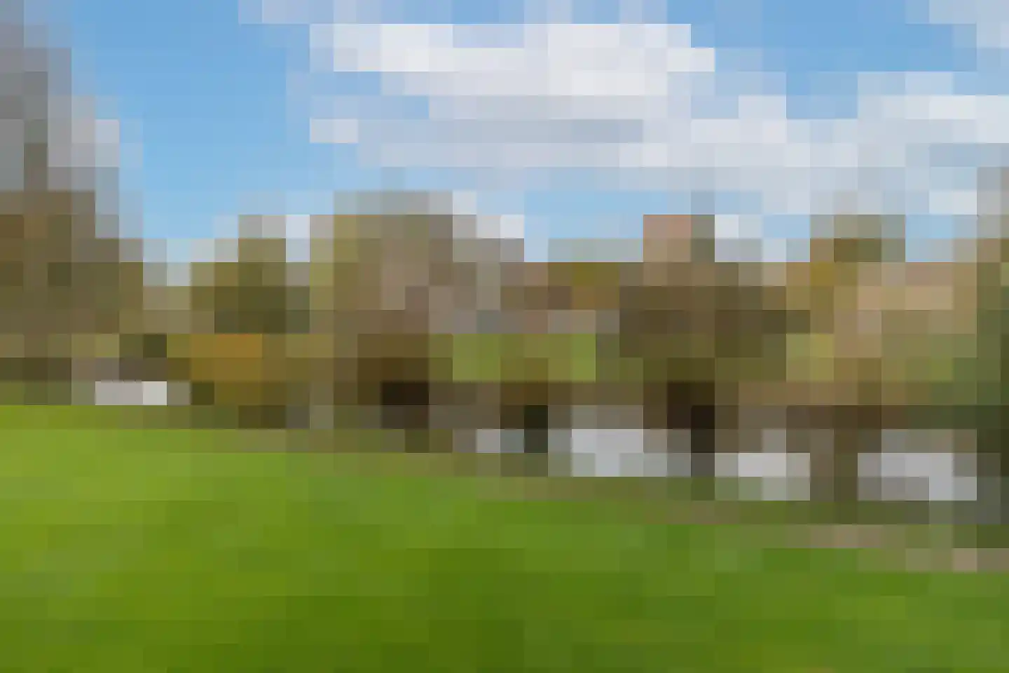 Asselijnstraat 36 Alkmaar thumbnail 31
