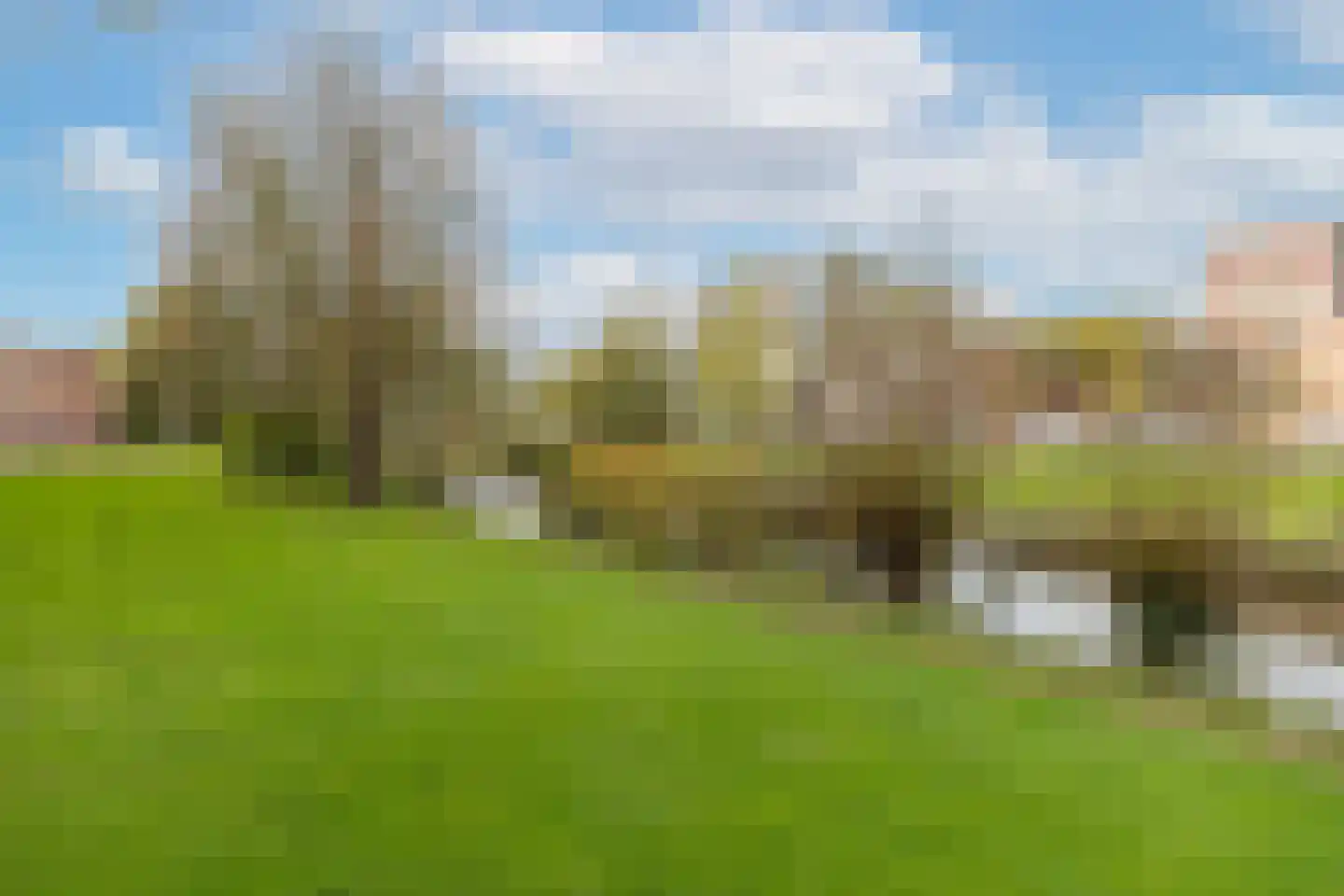Asselijnstraat 36 Alkmaar thumbnail 32
