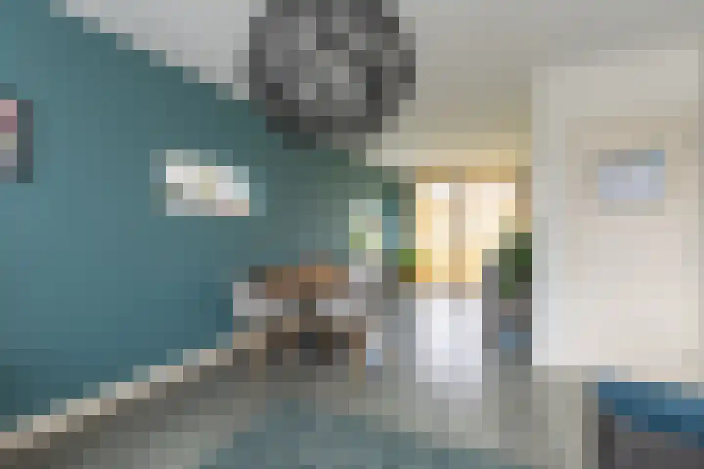 Asselijnstraat 36 Alkmaar thumbnail 9