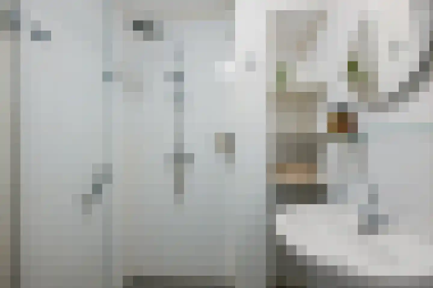 Asselijnstraat 60 Alkmaar thumbnail 17