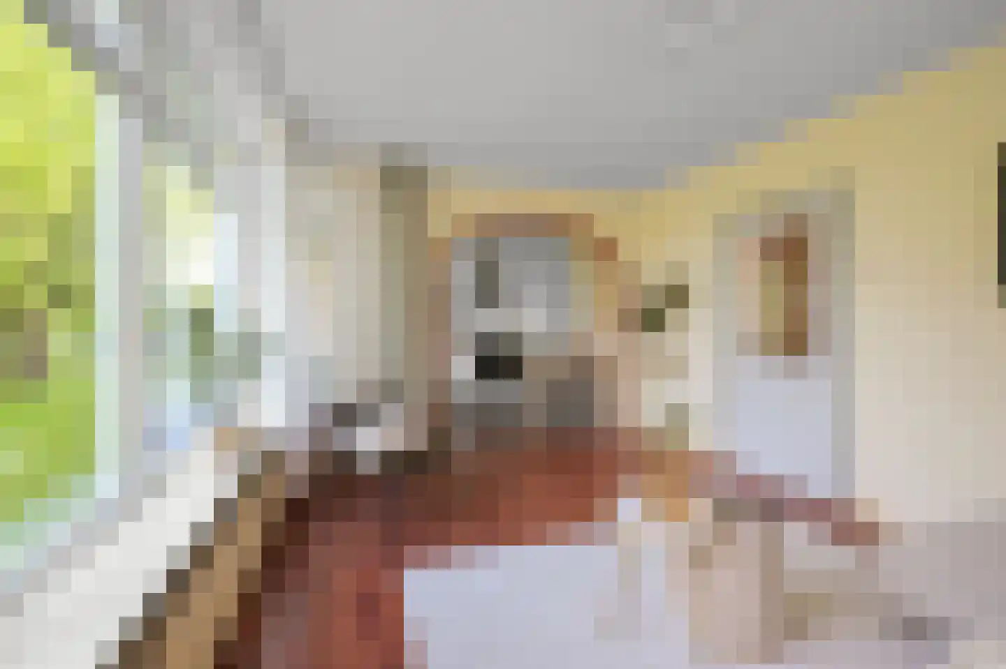 Asselijnstraat 60 Alkmaar thumbnail 5