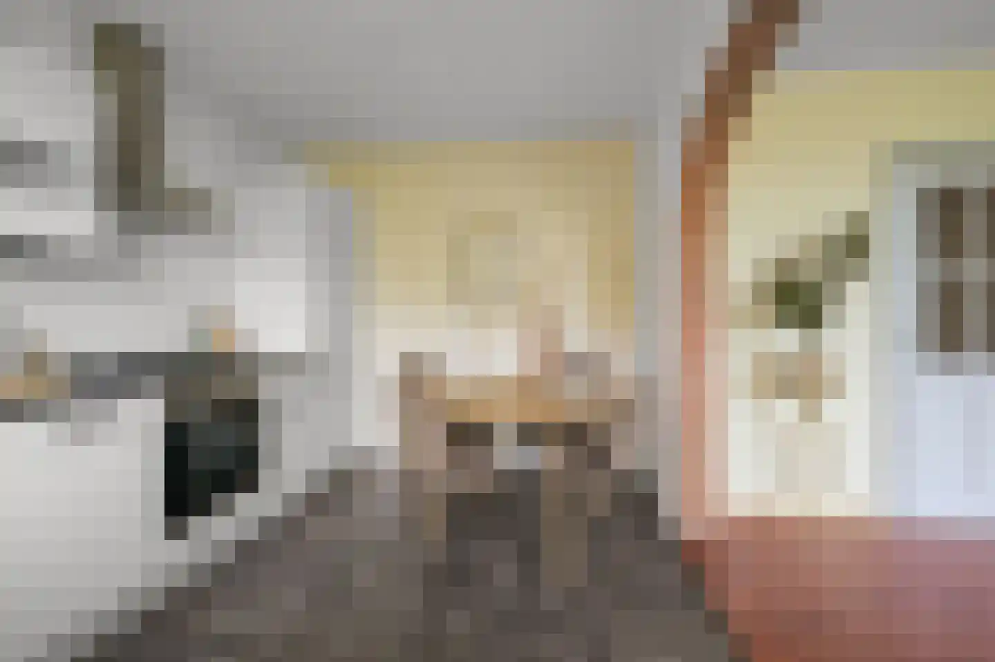 Asselijnstraat 60 Alkmaar thumbnail 8