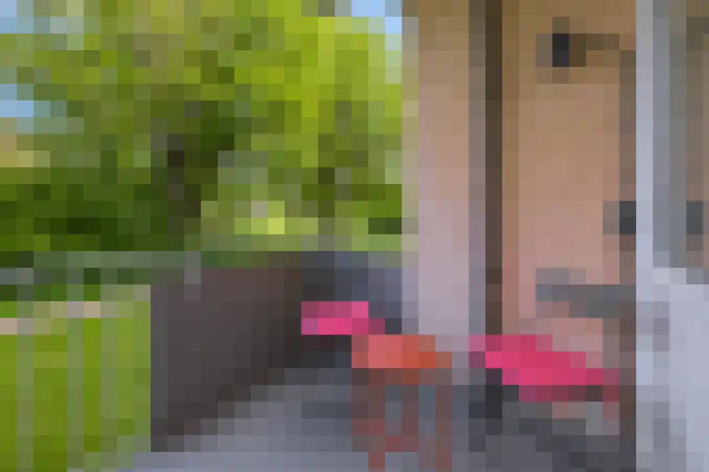 Asselijnstraat 60 Alkmaar thumbnail 9