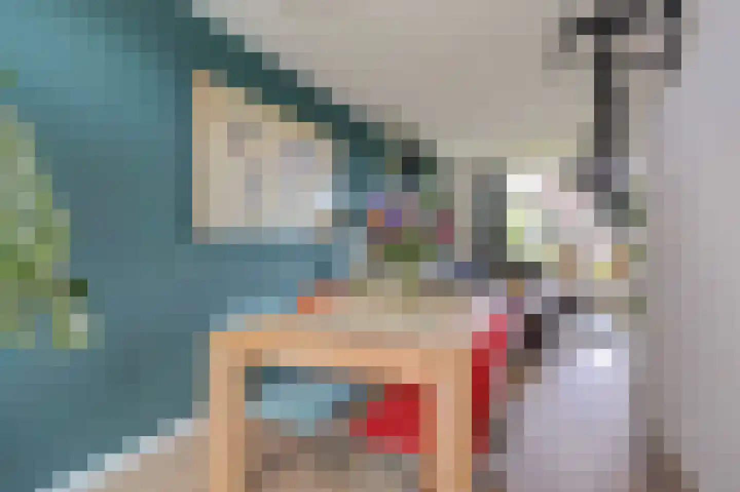 Asselijnstraat 72 Alkmaar thumbnail 19