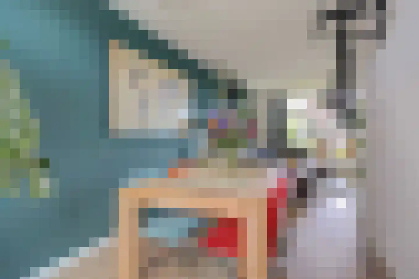 Asselijnstraat 72 Alkmaar thumbnail 20