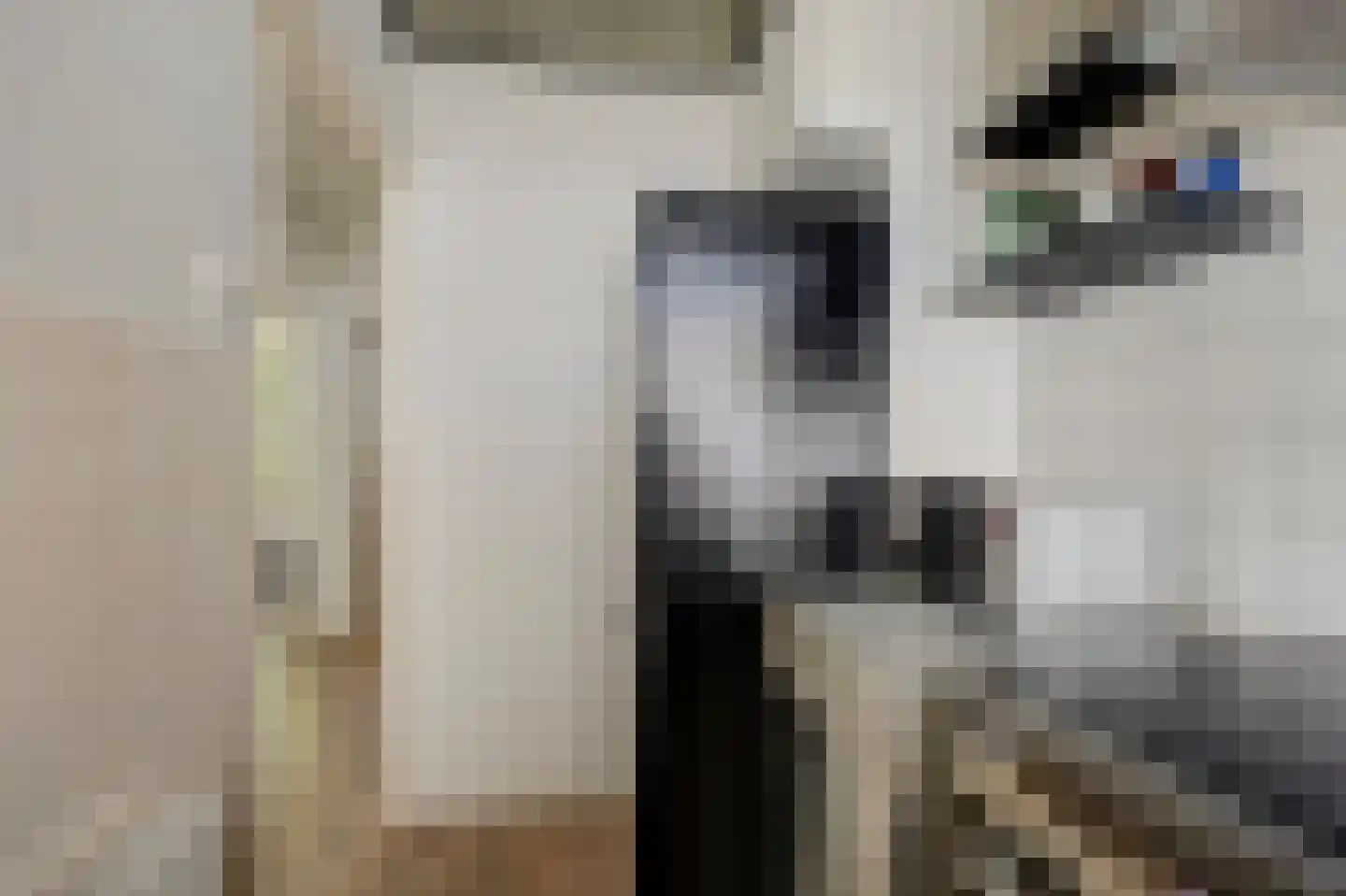 Asselijnstraat 72 Alkmaar thumbnail 22