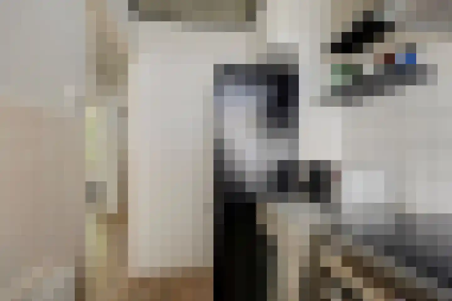 Asselijnstraat 72 Alkmaar thumbnail 23