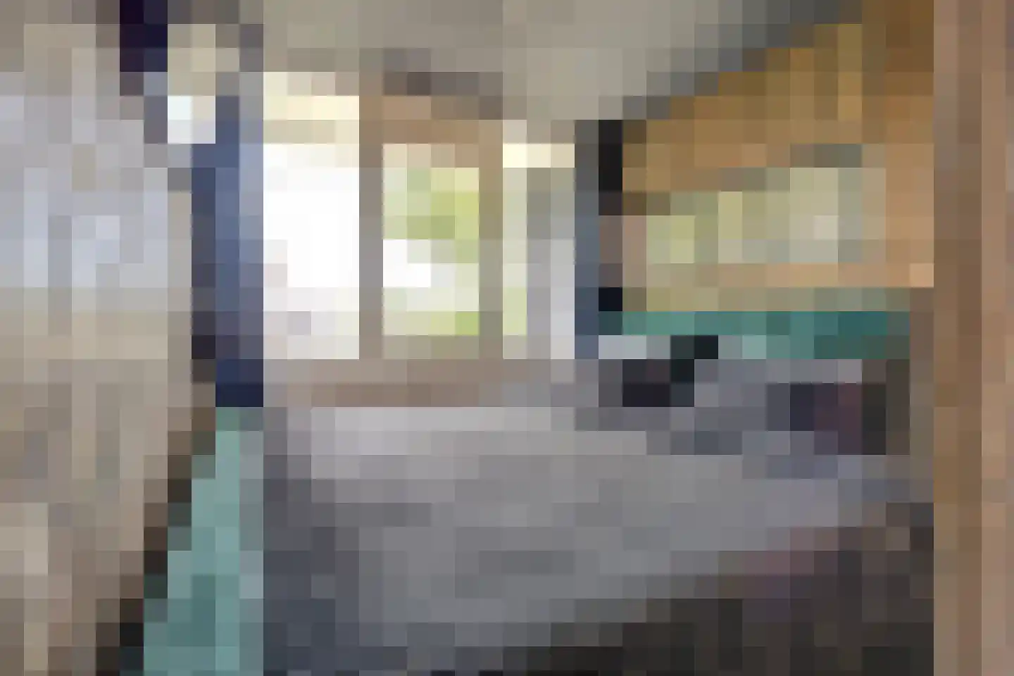 Asselijnstraat 72 Alkmaar thumbnail 24