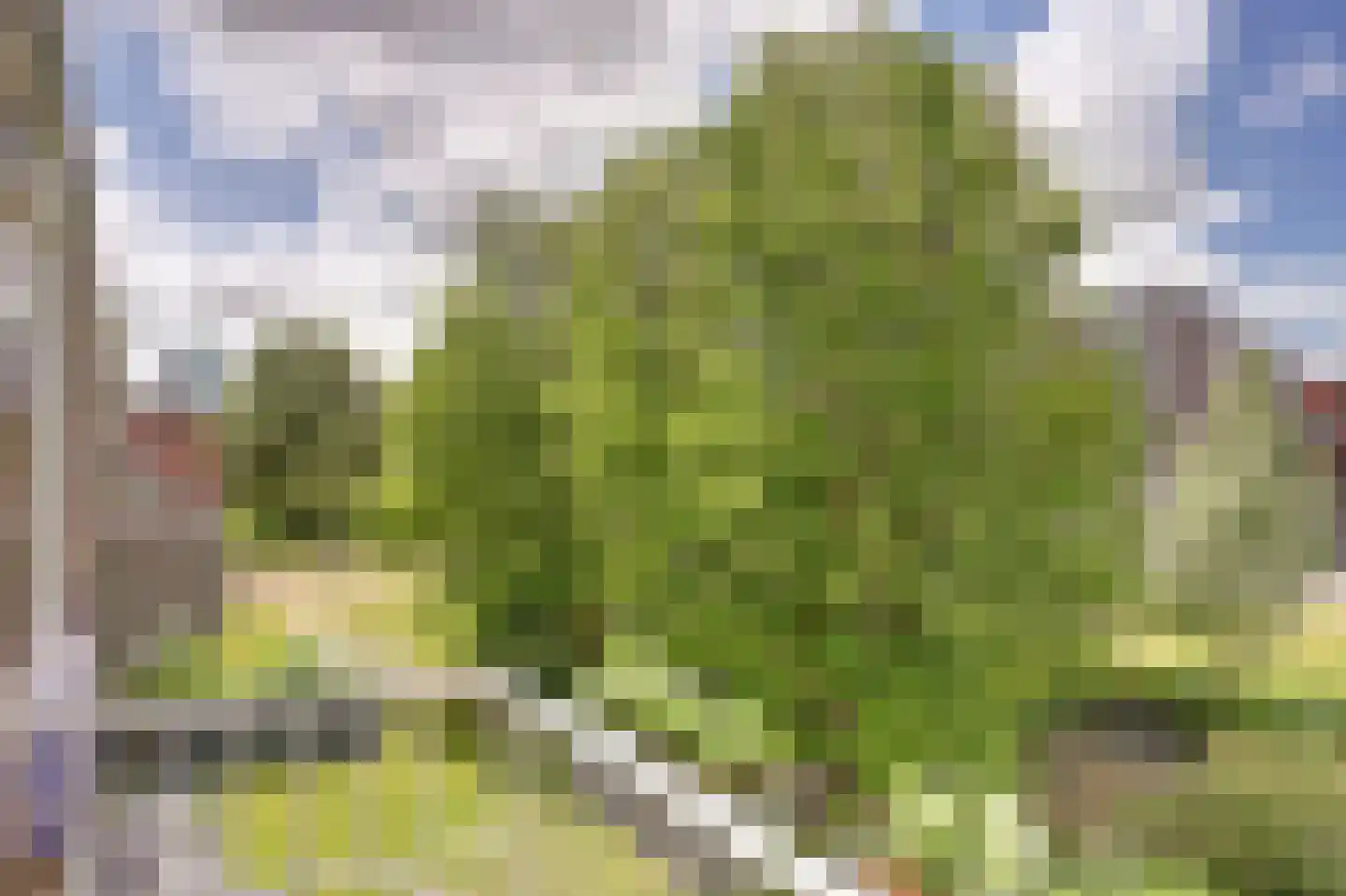 Asselijnstraat 72 Alkmaar thumbnail 32