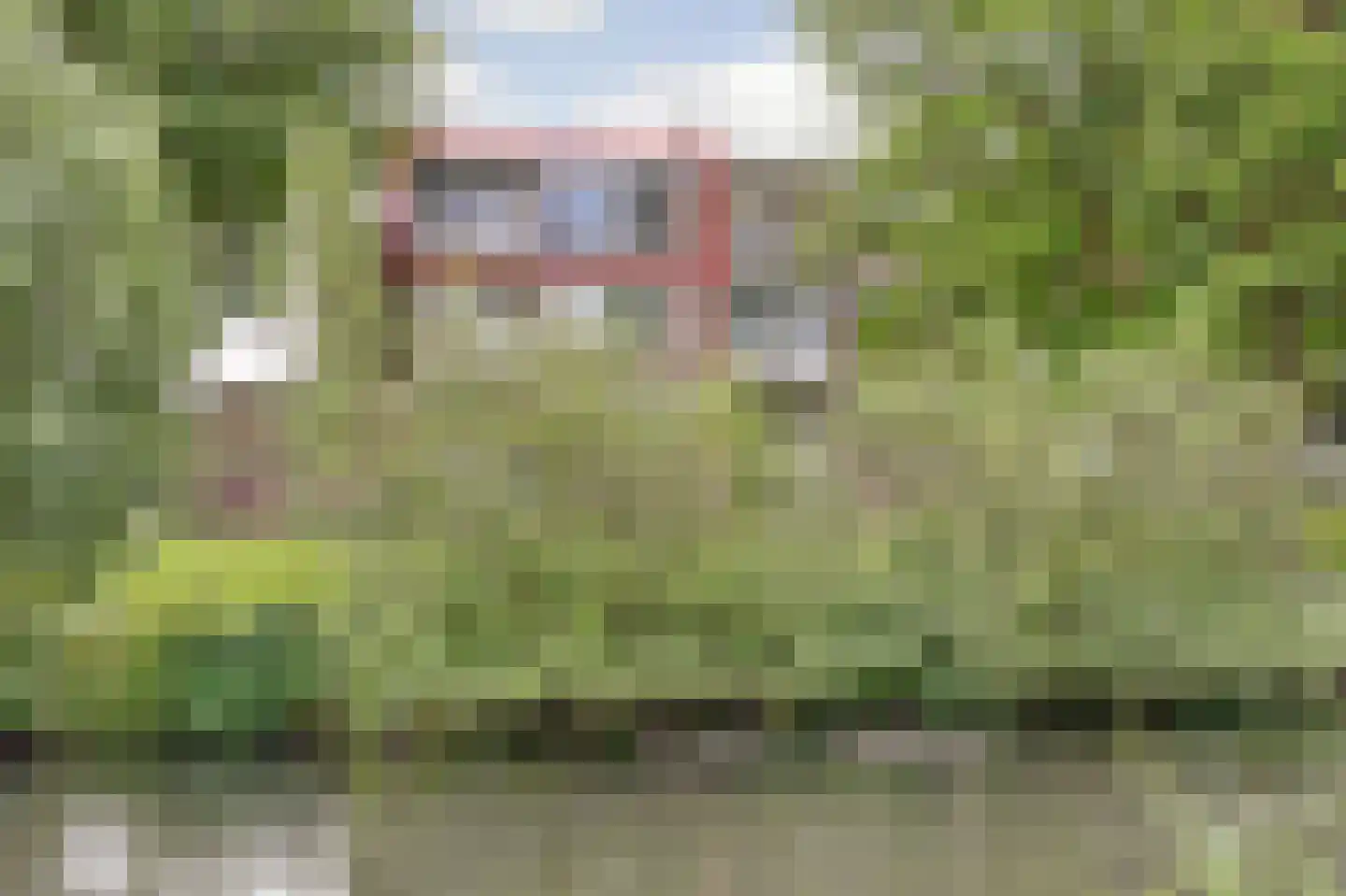 Asselijnstraat 72 Alkmaar thumbnail 33