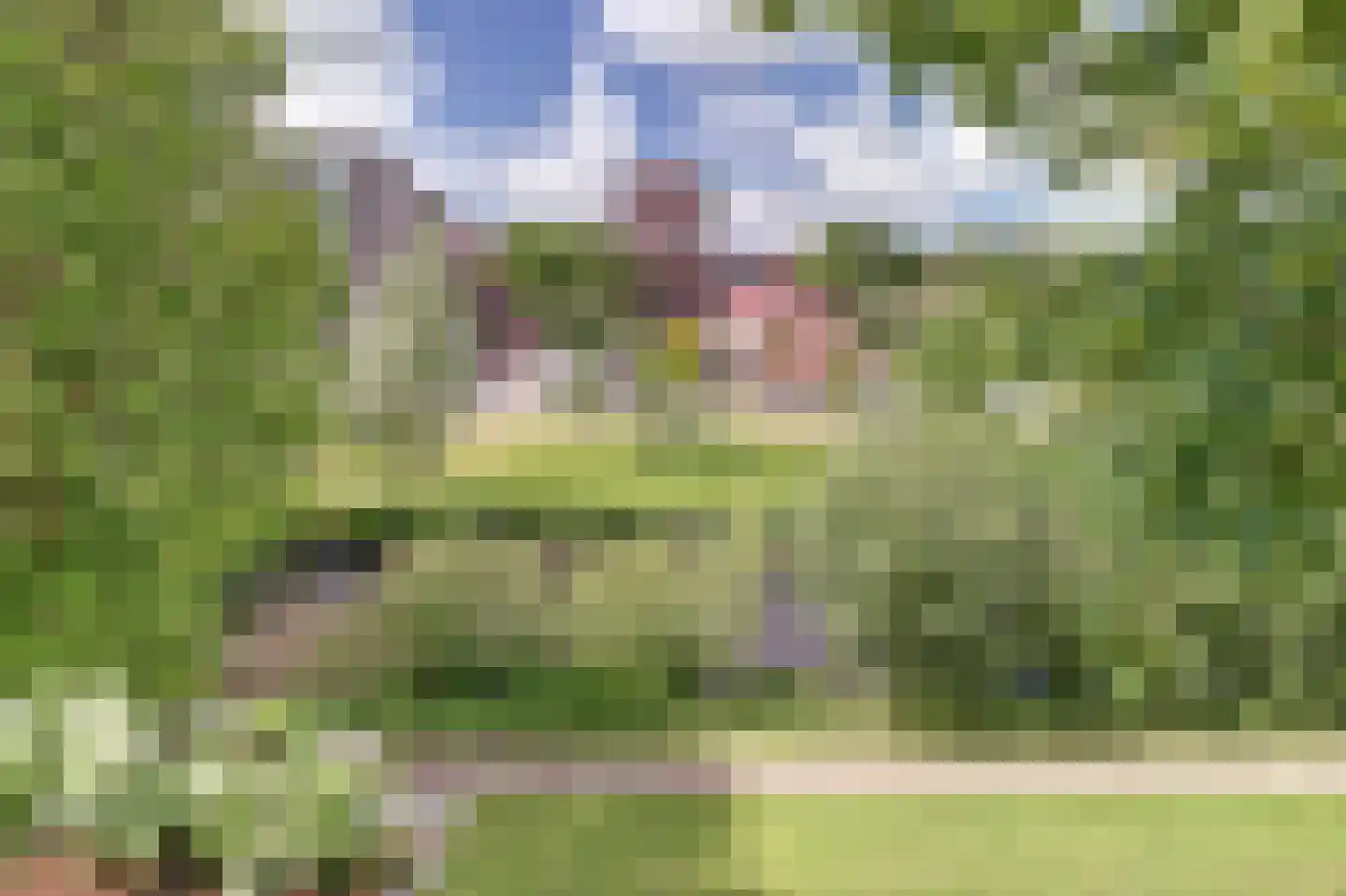 Asselijnstraat 72 Alkmaar thumbnail 34
