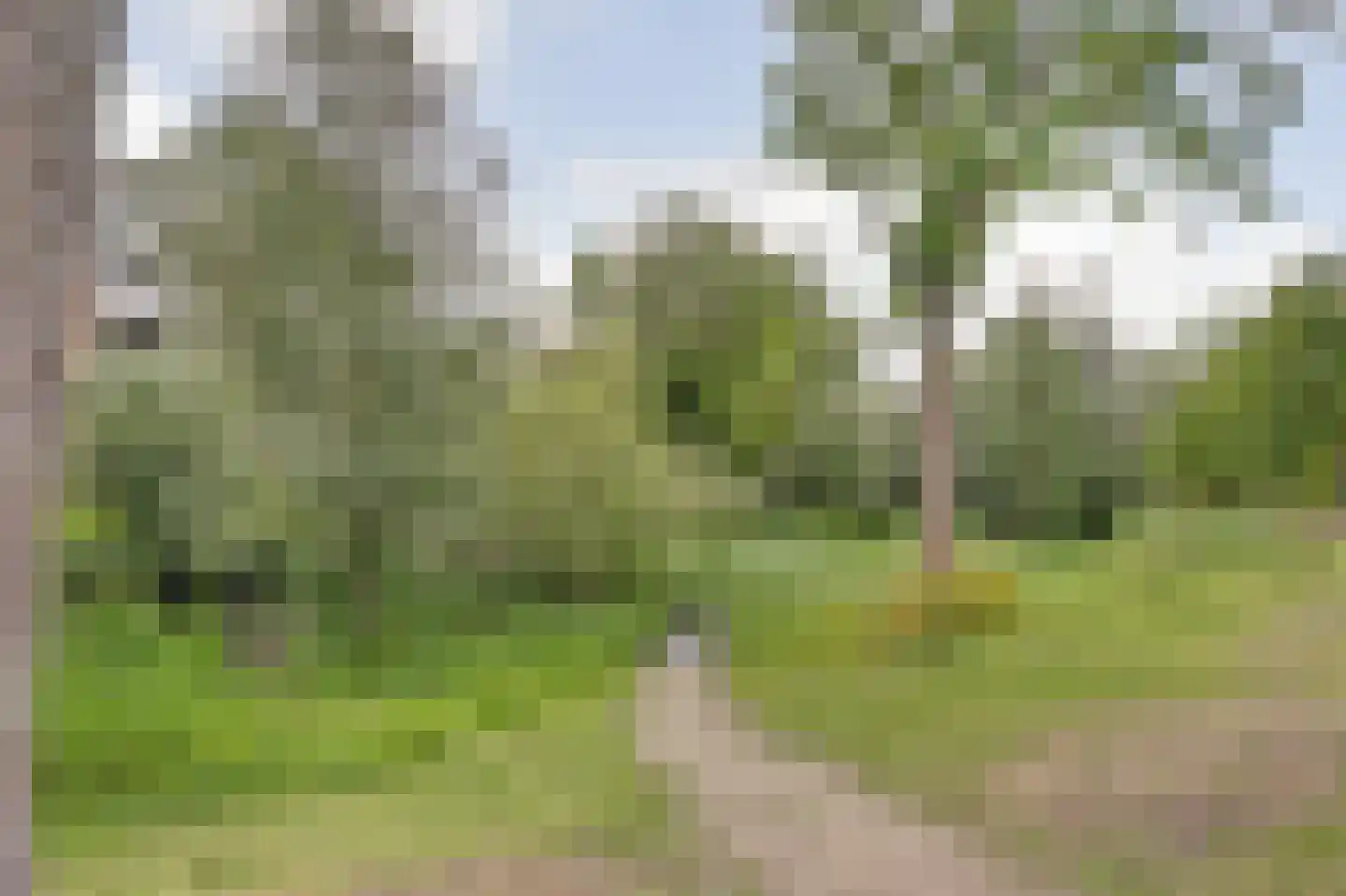 Asselijnstraat 72 Alkmaar thumbnail 35