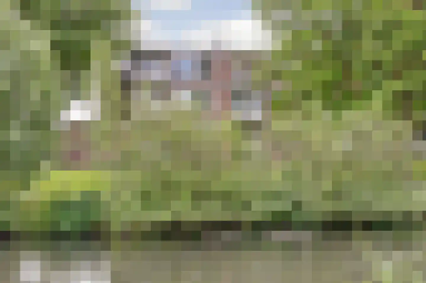 Asselijnstraat 72 Alkmaar thumbnail 36