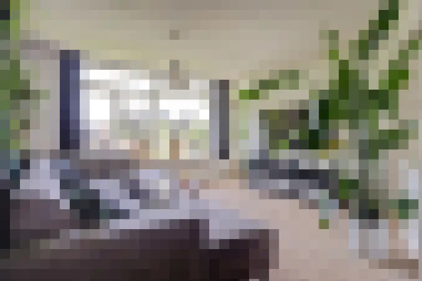 Asselijnstraat 72 Alkmaar thumbnail 4