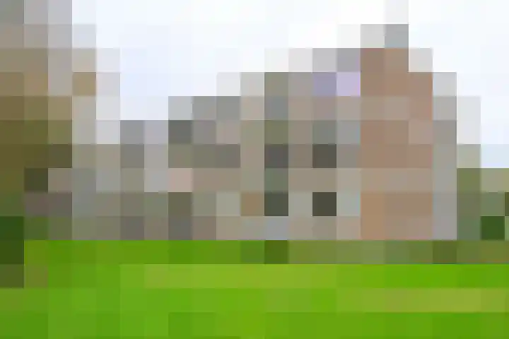 Asselijnstraat 80 Alkmaar thumbnail 22